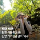 캠핑장 | 단양 계곡 추천 다리안관광지 취사 캠핑장 후기