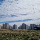 김정문화로 이미지