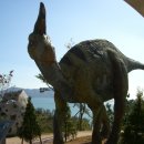 공룡박물관 이미지