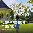 싱가포르 가볼만한곳 고민된다면? 푸릇푸릇 도심속 식물원 보타닉가든 방문후기
