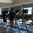 레디바디 이미지