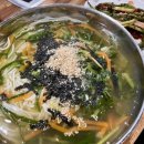 돈뜰꽃돼지