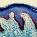 서초베스트외과의원 이미지