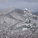 78차 정기산행(2/17)계방산 눈꽃산행 갑니다 이미지