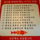 거북명태 이미지