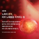 진설향 네이버블로그
