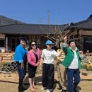 현암리 돌담집 이미지