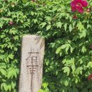 심훈농장 | 예산, 추사고택(秋史古宅)에 가다.
