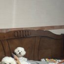 벼리서리 네이버블로그