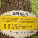 쉼에숲 이미지