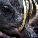 신기한공인중개사사무소 이미지