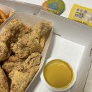 네네치킨금당점 | [배송] 네네치킨 치즈스노윙 & 양념치킨 솔직 후기