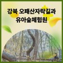 오동근린공원 실내배드민턴장 | 오동근린공원 유아숲 체험장과 오패산 자락길