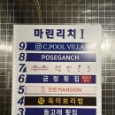 돌고래노래연습장 이미지