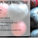 블루베리 인기, 어떤 효능 있길래? 이미지