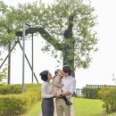 호가네스냅 | 인천 야외 가족 스냅 촬영 후기 호가네스냅