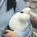 보은한의원 | 박똔 8월 일상과 꾸준히 다니고 있는 노원다이어트한의원