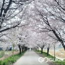 청미천 이미지