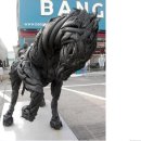 타이어프로상계 이미지