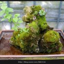 연곡농장 이미지