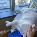 굽네치킨 상무점 이미지