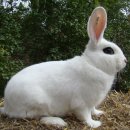 블랑안경 이미지