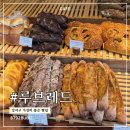 루브레드 발산점