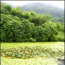 황토마루 이미지