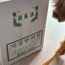 지성한의원 | 지성한의원 한약 후기 내돈내산