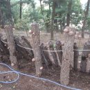 뜨락농원 이미지