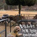 힐링하우스운일암