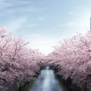 신짱쇼핑