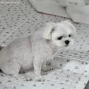 청산공원 이미지