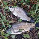 청미천 6 이미지