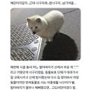 플러스마이너스 - 춘천시 신샘밭로 670 | 플러스마이너스