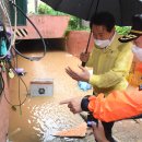 서울특별시 관악구 강남시장 이미지