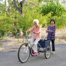 효심 농장 이미지