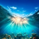 산호약국 - 성동구 왕십리로 328-1 | 산호약국