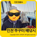 축항대로3(86번길) | 영종도 인천 쭈꾸미 배낚시 선상낚시 준비물 가격 축항대로 현대배낚시