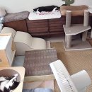 메트로펫 이미지