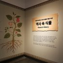 이화여자대학교자연사박물관 이미지