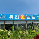 유리꽃농원