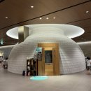 고양아, 안녕? | 고양 아쿠아필드 스타필드 찜질방 식당 이용 후기