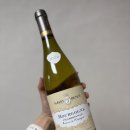 선천남로L | 코스트코 화이트 와인 알베르 비쇼 부르고뉴 샤르도네 적당한 산미와 깔끔함