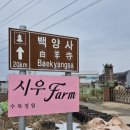 광주 근교 장성 맛집: 시우팜 시우정찬 솔직 후기