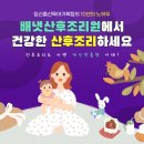 하나산전 이미지