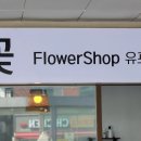 유포리아플라워 이미지
