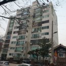 정자동 소로1 네이버블로그