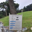 반남박씨 대종중 묘역 이미지