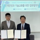 엘디 이미지